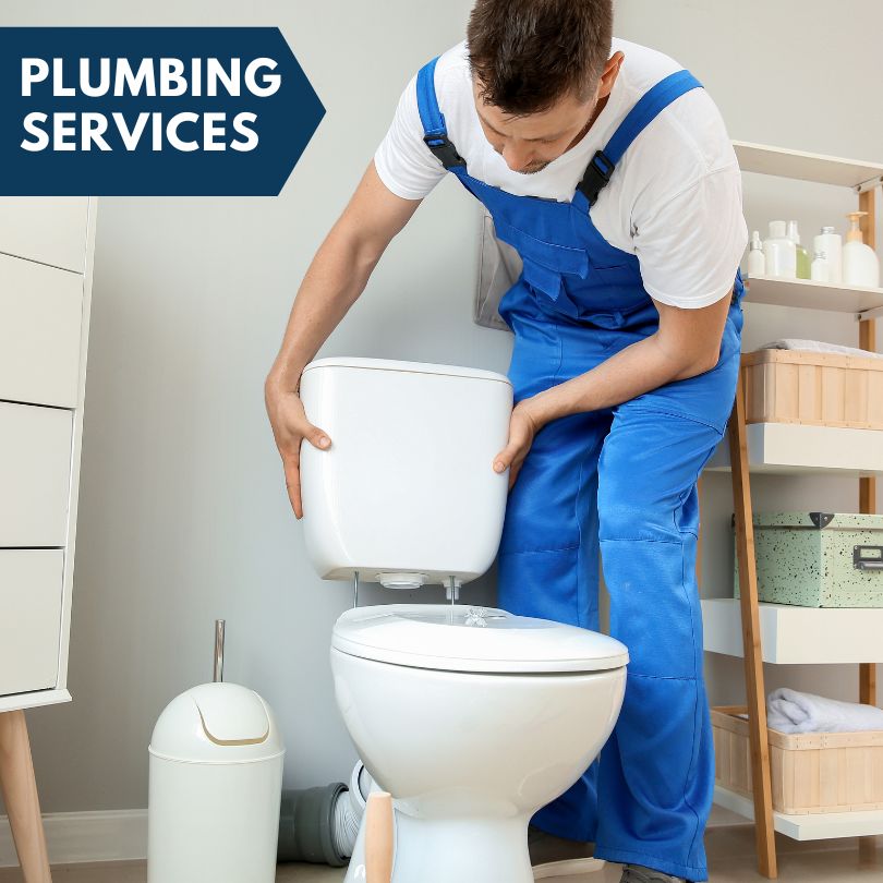 Plumbing Company in Roseville, IL